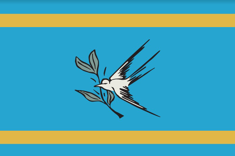 文件:Flag of Krasnoarmeysk (Donetsk oblast).png