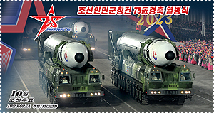 2023-2-8 parade stamp7.jpg