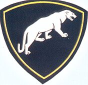 捷尔任斯基独立作战任务师