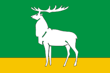 布祖卢克市旗