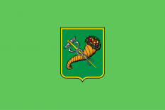 哈尔科夫市旗