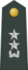 少将