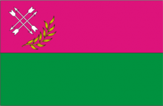 洛佐瓦市旗
