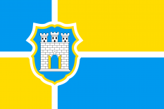 日托米尔市旗
