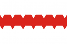 鄂木斯克市旗