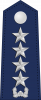 大将