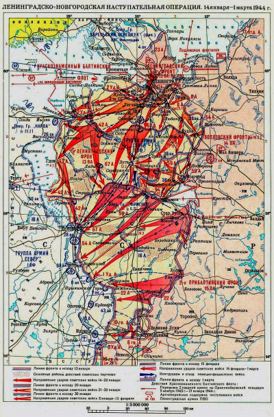 列宁格勒—诺夫哥罗德战役