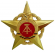 金质各族人民友谊星章