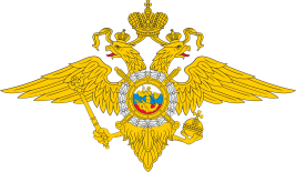 俄罗斯联邦内务部
