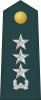 中将