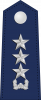 中将