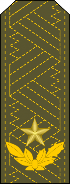 文件:General de brigada, Ejército Revolucionario.png