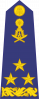 中将