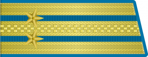 Подполковник, ВВС СССР, 1955.png