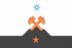 罗金斯科耶市旗