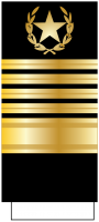苏联海军元帅袖章