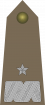 波兰陆军准将