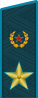 大将