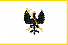 切尔尼戈夫市旗